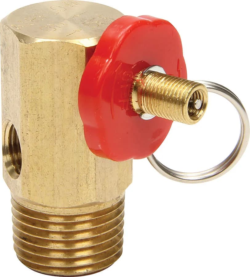 Manifold Assembly for Air Tanks