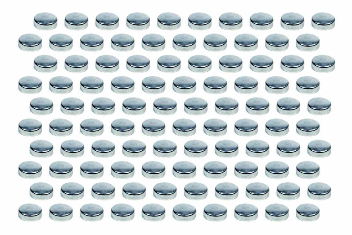 Expansion Plugs - 1-5/8 (100)