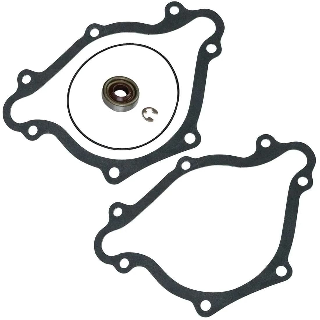 Sbm Rebuild Gasket & Seal Kit For Electric Water Pump no 63565