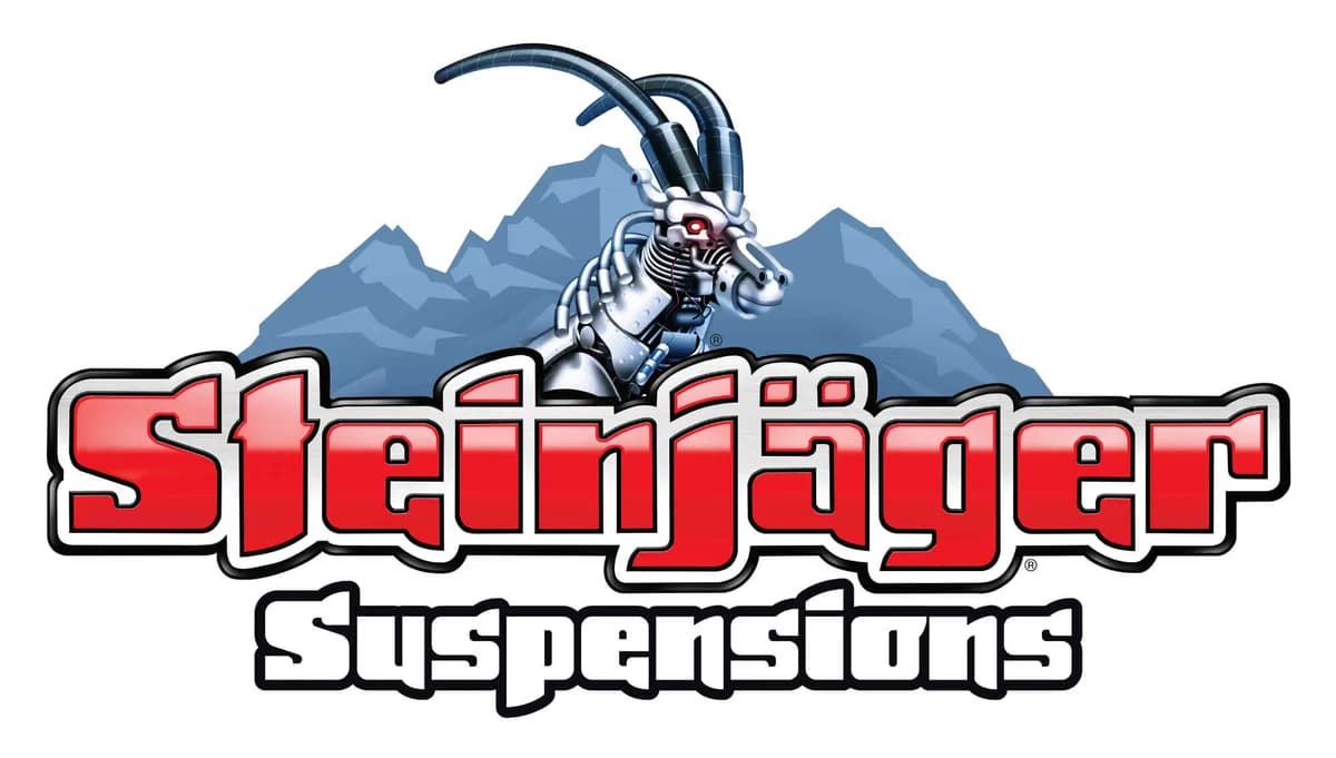 Suspensions 16.00 x 36.00 Inches