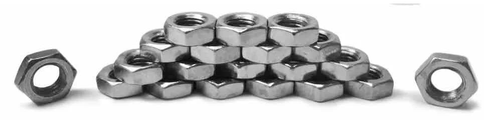 Steinjäger Nuts Bulk Stainless Fasteners, Bulk 1/2-20 RH 20 Pack