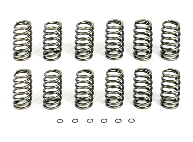 Pacbrake Basic Spring Kit 12 Springs For 94-98 Dodge Ram 25003500 Cummins 12 Valve Engine Pacbrake