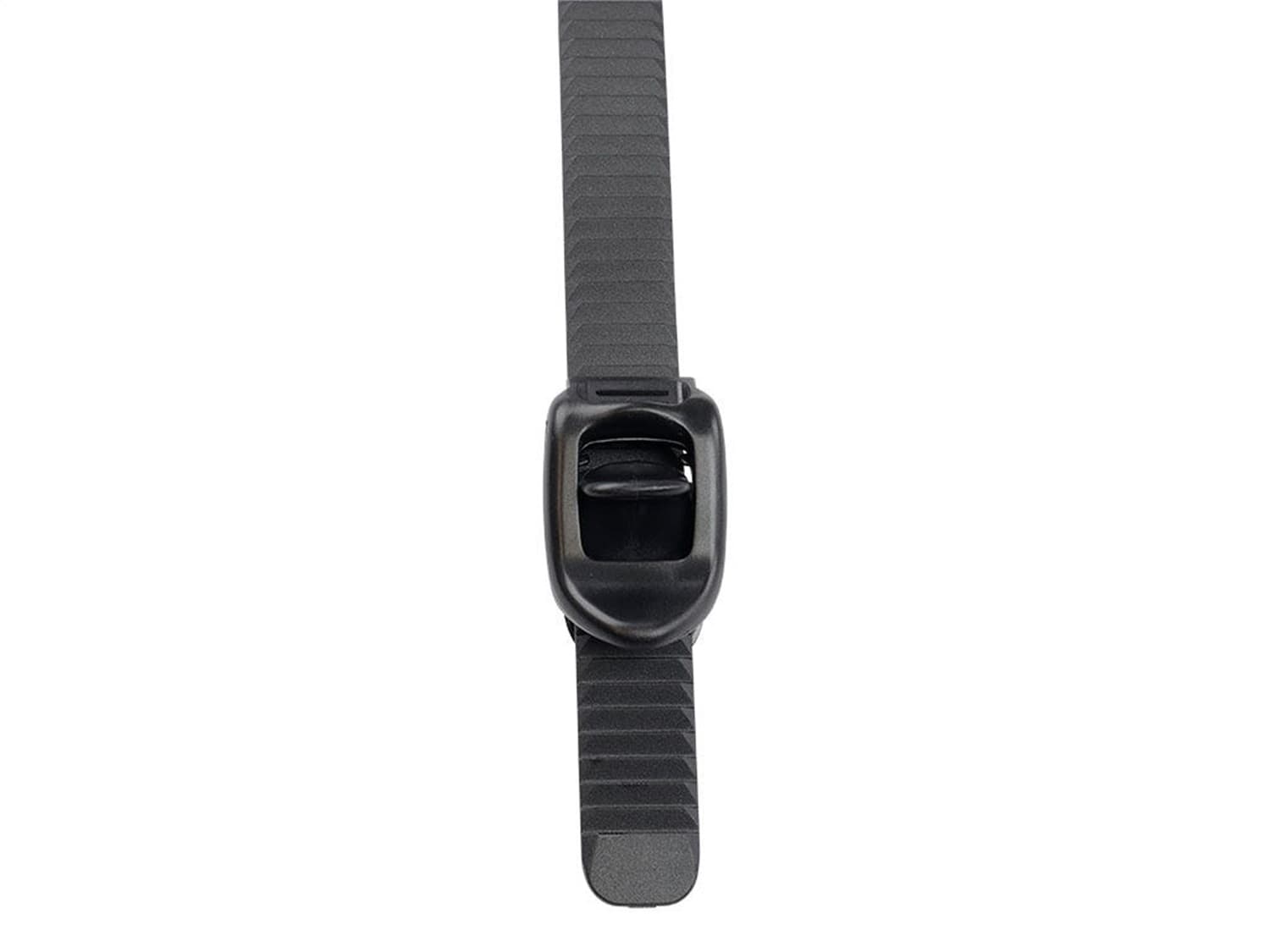 Ratchet and Strap for Pro Bike Carrier; product image