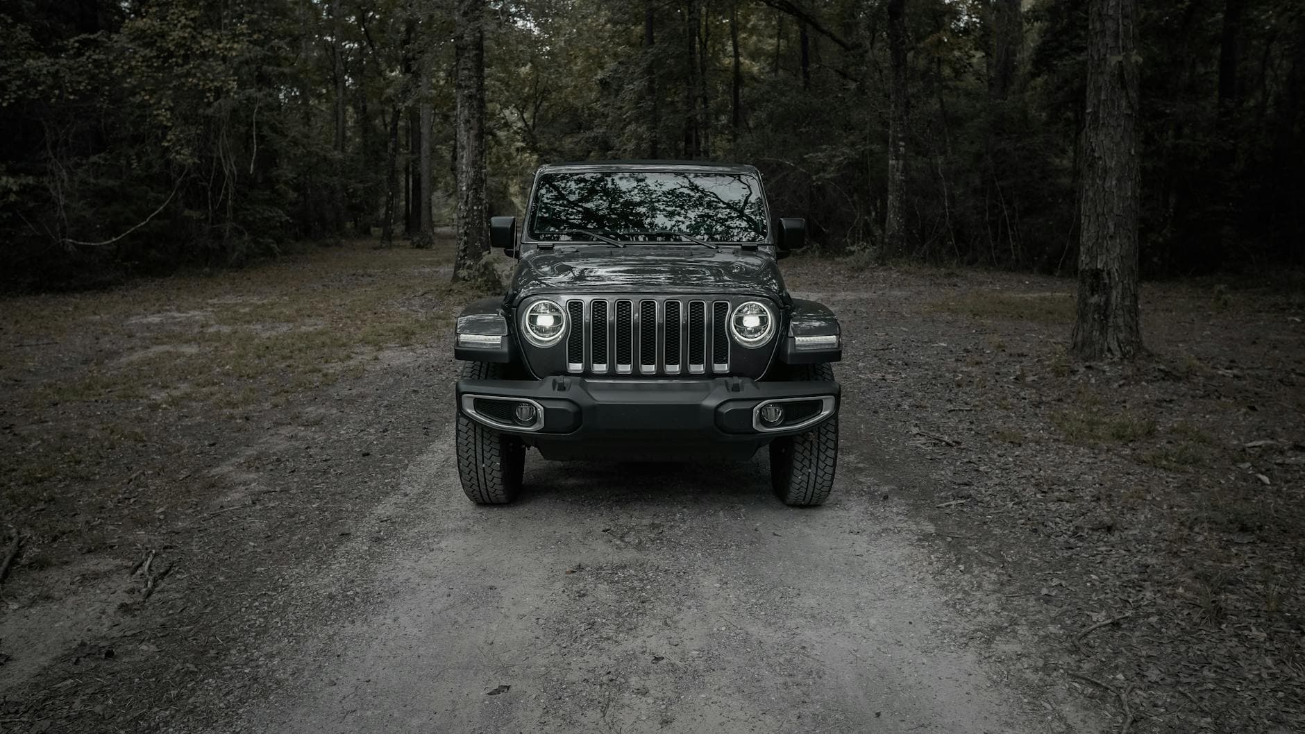 The Wrangler Revolution - 1987-Present
